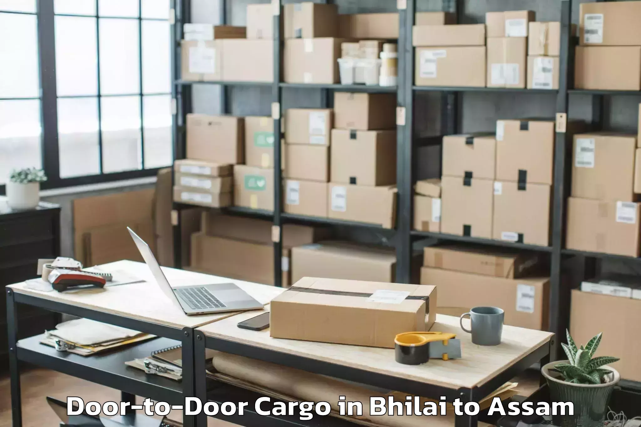 Leading Bhilai to Tezpur University Door To Door Cargo Provider